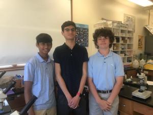 The Centimeterers
