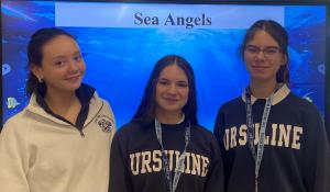 Sea angels