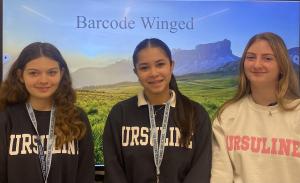 Barcode Winged