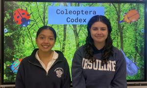 Coleoptera Codex