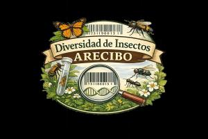 Equipo de Biodiversidad de Insectos - Arecibo (EBI-A)