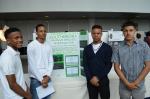 South Bronx Invasive Species
