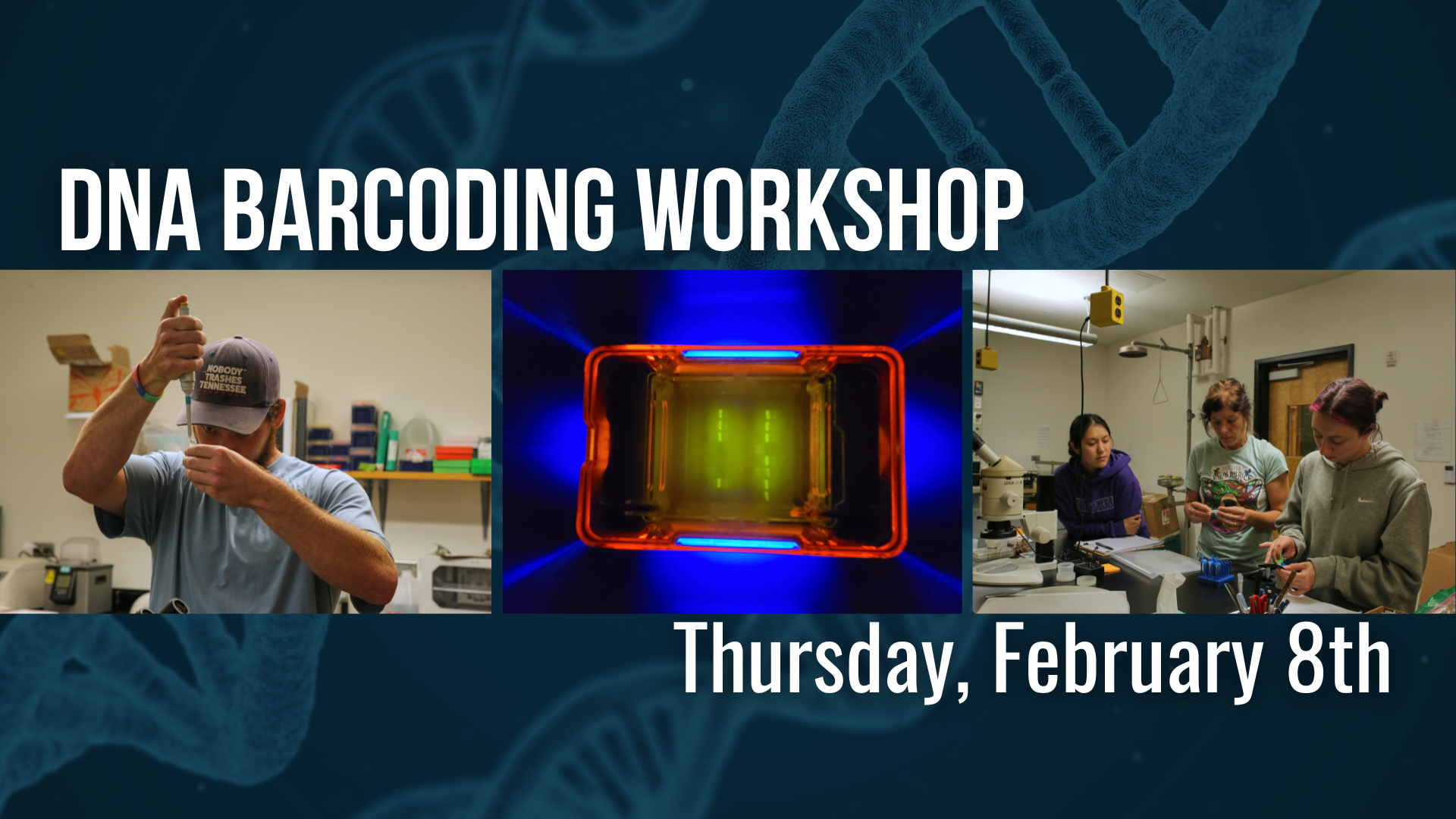 DNA BArcoding Workshop, February 8, 2024 