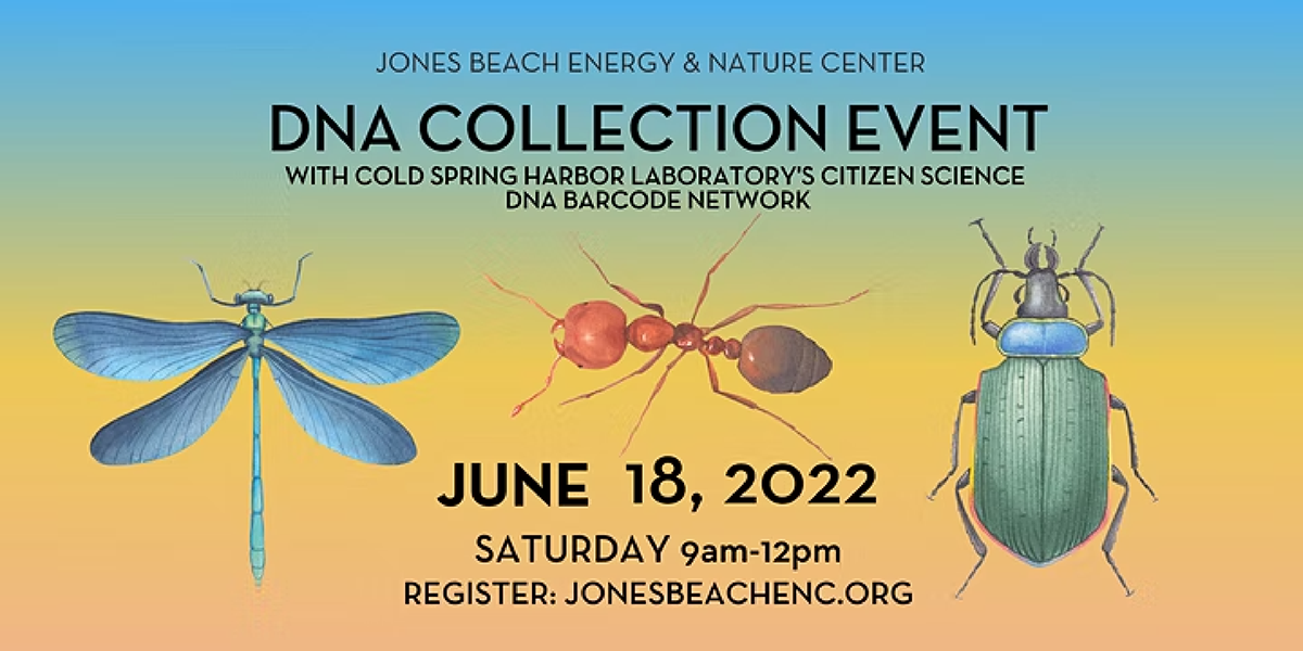 Graphic with illustrations of mosquito, ant, and beetle on background with blue to orange horizontal color gradient with text about DNA collection event.