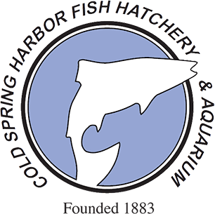 Logo of Cold Spring Harbor Fish Hatchery & Aquarium logo with a jumping fish silhouette and 'Founded 1883'